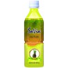Aloe Vera Piña 8 unidades